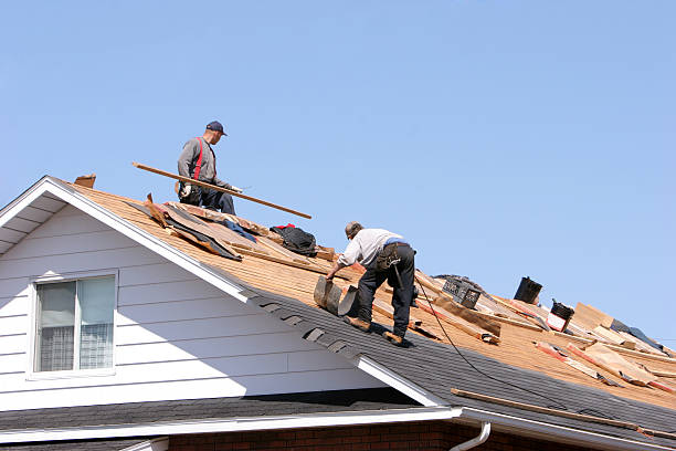 Best Roof Moss and Algae Removal  in Duncanville, TX